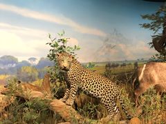 -陕西自然博物馆