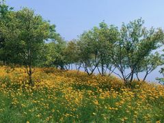 -阳澄湖半岛旅游度假区