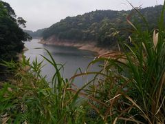 -广州市石门国家森林公园
