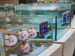 水产区-旺顺阁海鲜广场(亚运村店)