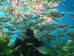 -太平洋海底世界