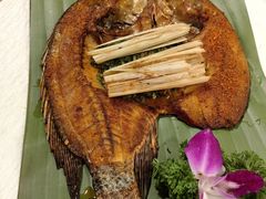 -紫滇源云南生态菜(丹凤街店)