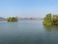-芒洲湿地公园