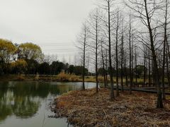 -梁鸿国家湿地公园