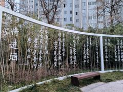 -唐城墙遗址公园