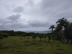-鹅銮鼻公园