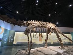 -衢州市博物馆