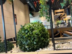 -川骄海鲜自助(亚运村店)