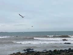 -海合安青岛极地海洋公园