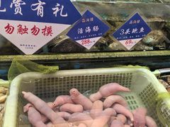 -品海楼·大连海胆锅贴馆(东港店)