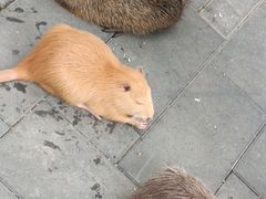 -北京野生动物园