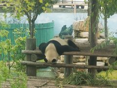 -西霞口神雕山野生动物世界