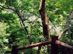 -海南文笔峰盘古文化旅游区