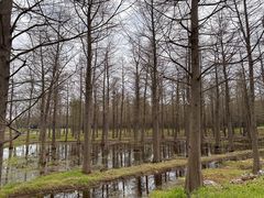 -广富林郊野公园