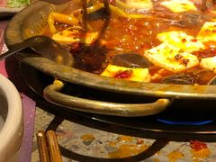 包浆豆腐-小龙坎火锅(双林店)