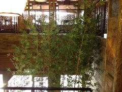大堂-青藤茶馆(南山路店)
