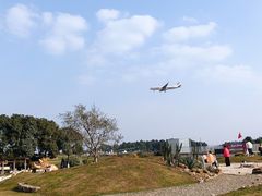 -空港花田景区
