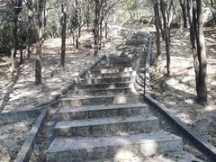 -火炉山森林公园