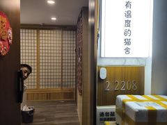 -猫十亿·布偶金渐层·曼基康矮脚猫舍(青年路店)