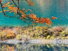 -叠溪松坪沟景区