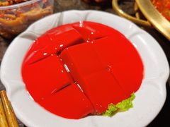 鲜血旺-巴蜀大宅门火锅(北大街店)
