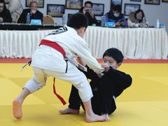 -菠萝格斗巴西柔术训练馆