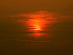 -吴淞炮台湾湿地森林公园烧烤区