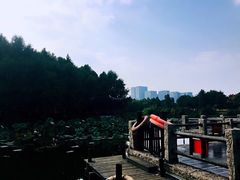 -尚贤河湿地