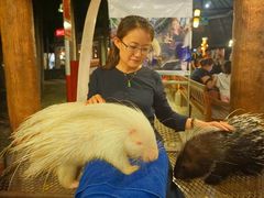 -清迈夜间动物园