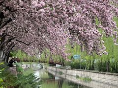 -海棠花溪(元大都城垣遗址公园)
