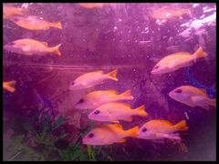 -多彩贵州城极地海洋世界