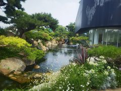 -罗红摄影艺术馆