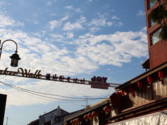 -马六甲鸡场街