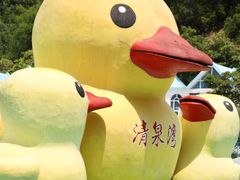 -清泉湾生态旅游度假区