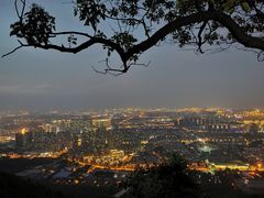 -惠山国家森林公园