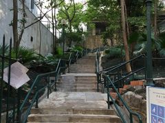-香港大学
