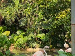 -海南热带野生动植物园