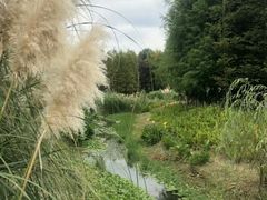 -贵阳市花溪国家城市湿地公园