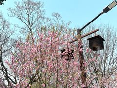 -苏州太湖国家湿地公园