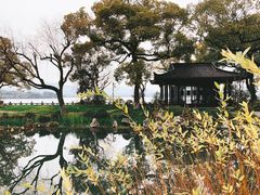 -杭州西湖柳莺里酒店