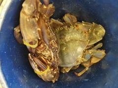 -澜悦港海鲜体验主题餐厅