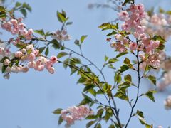 -北岭山森林公园