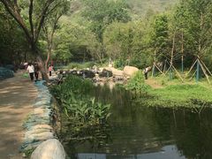 -白水寺森林公园