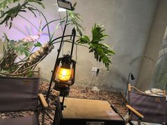 -J Create城市露营咖啡·简餐·宠物(上海动物园店)