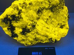 -湖南省地质博物馆