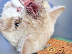 -畜牧兽医站(共江路店)