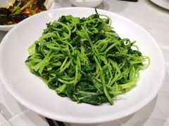 清炒萝卜苗-上座·餐厅(阳光100店)