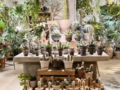 -自由生长植物工作室(深港花卉中心店)