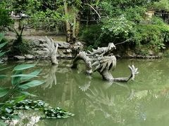 -汇龙潭