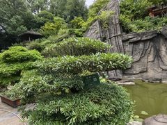 -南山植物园
